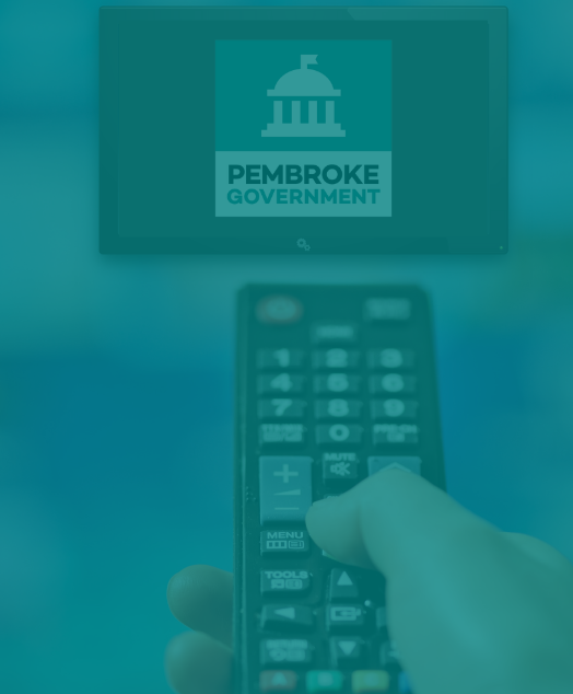 pembroke government remote with green