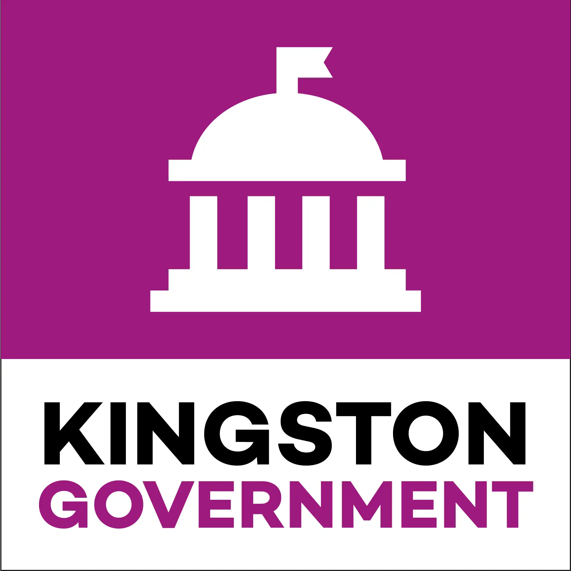 Bug Kingston Government Channel